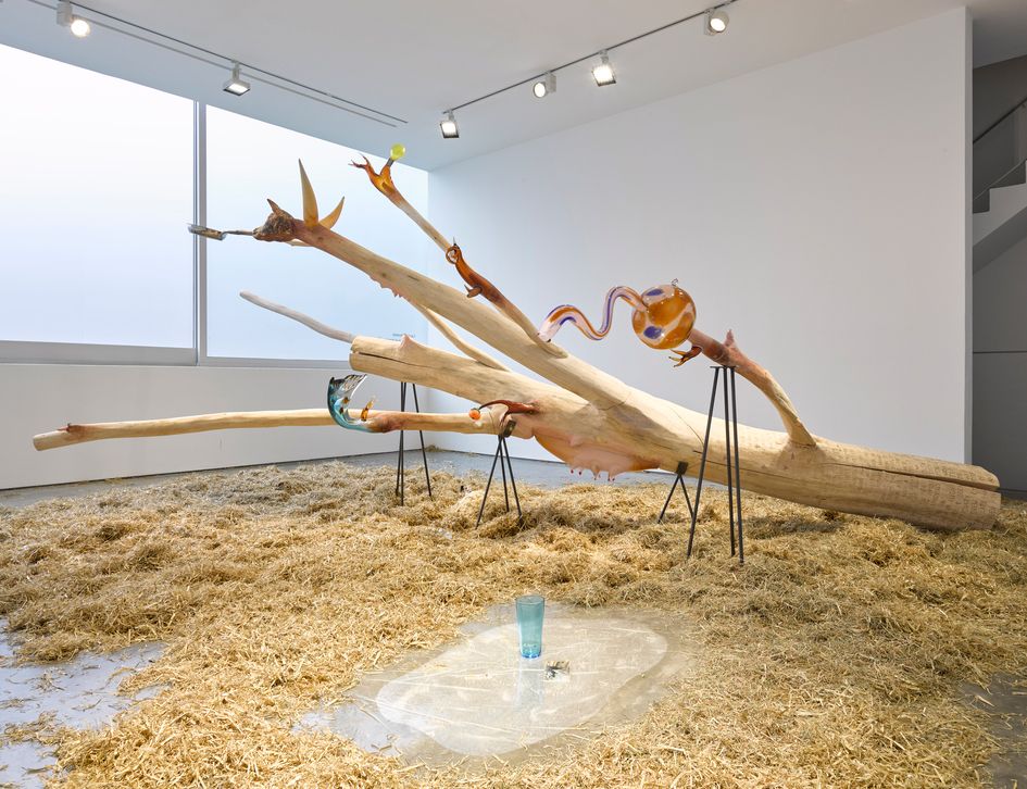 Laure Prouvost, Re-dit-en-un-in-learning Center at Lisson, photo 5