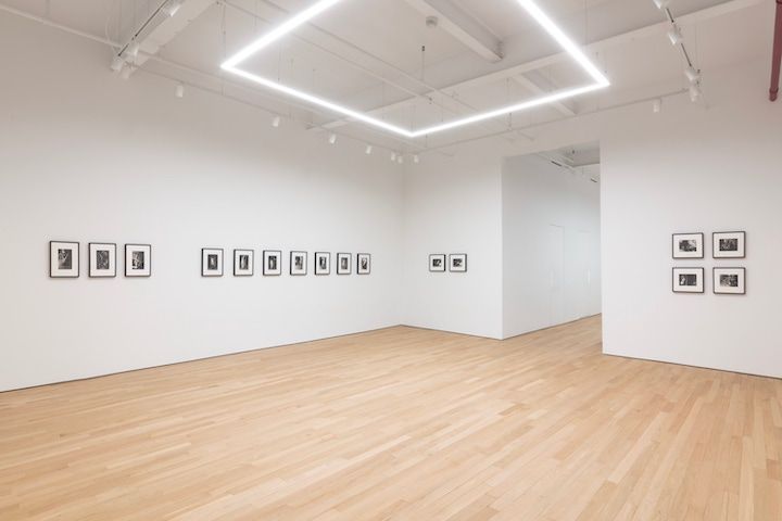 Installation view 6