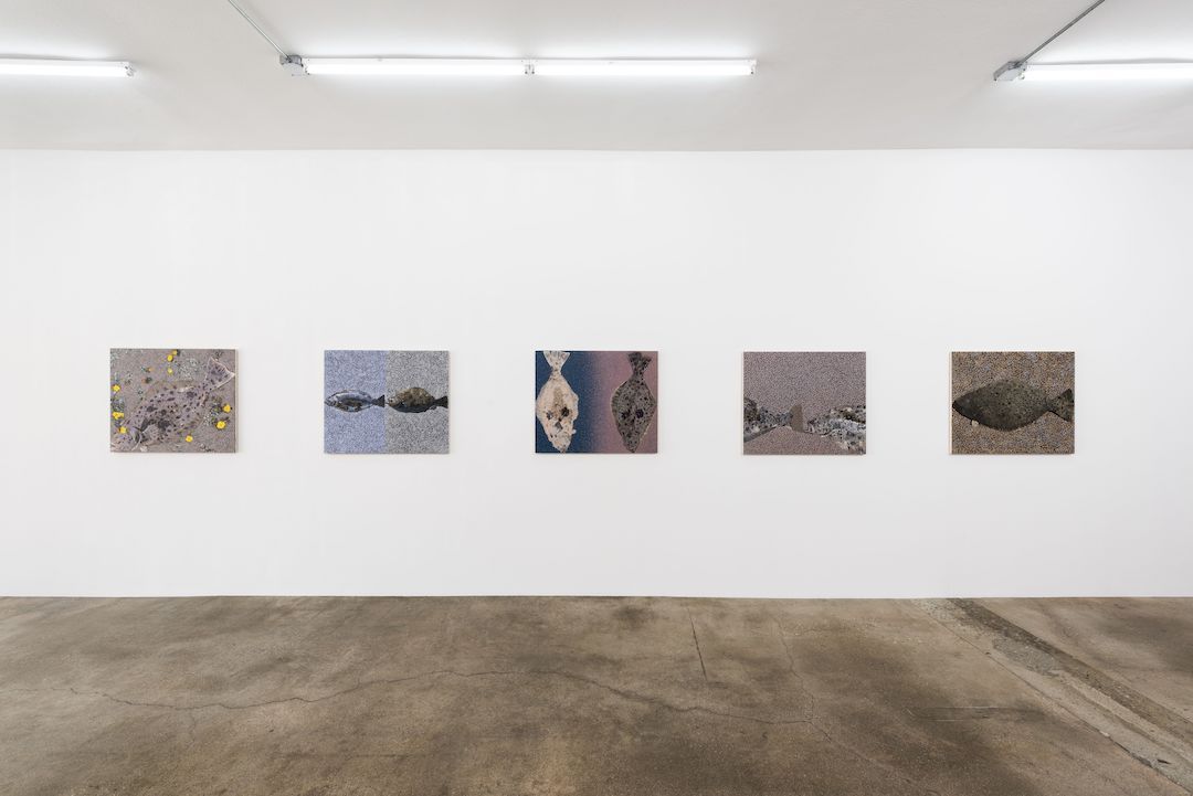 Adam Higgins, Flatfish at Hunter Shaw Fine Art, photo 2