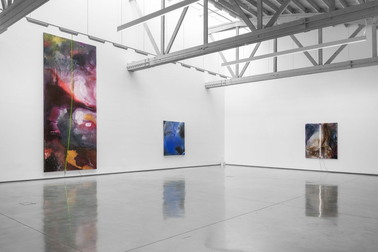 Mary Weatherford, The Surrealist at David Kordansky Gallery, photo 2