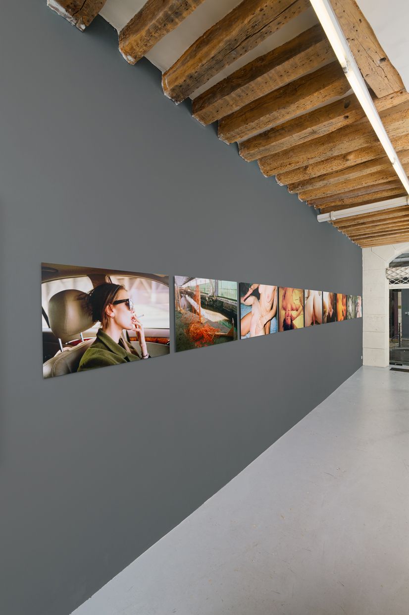 Sam Penn, Bad Behavior at Balice Hertling Project Space, photo 3