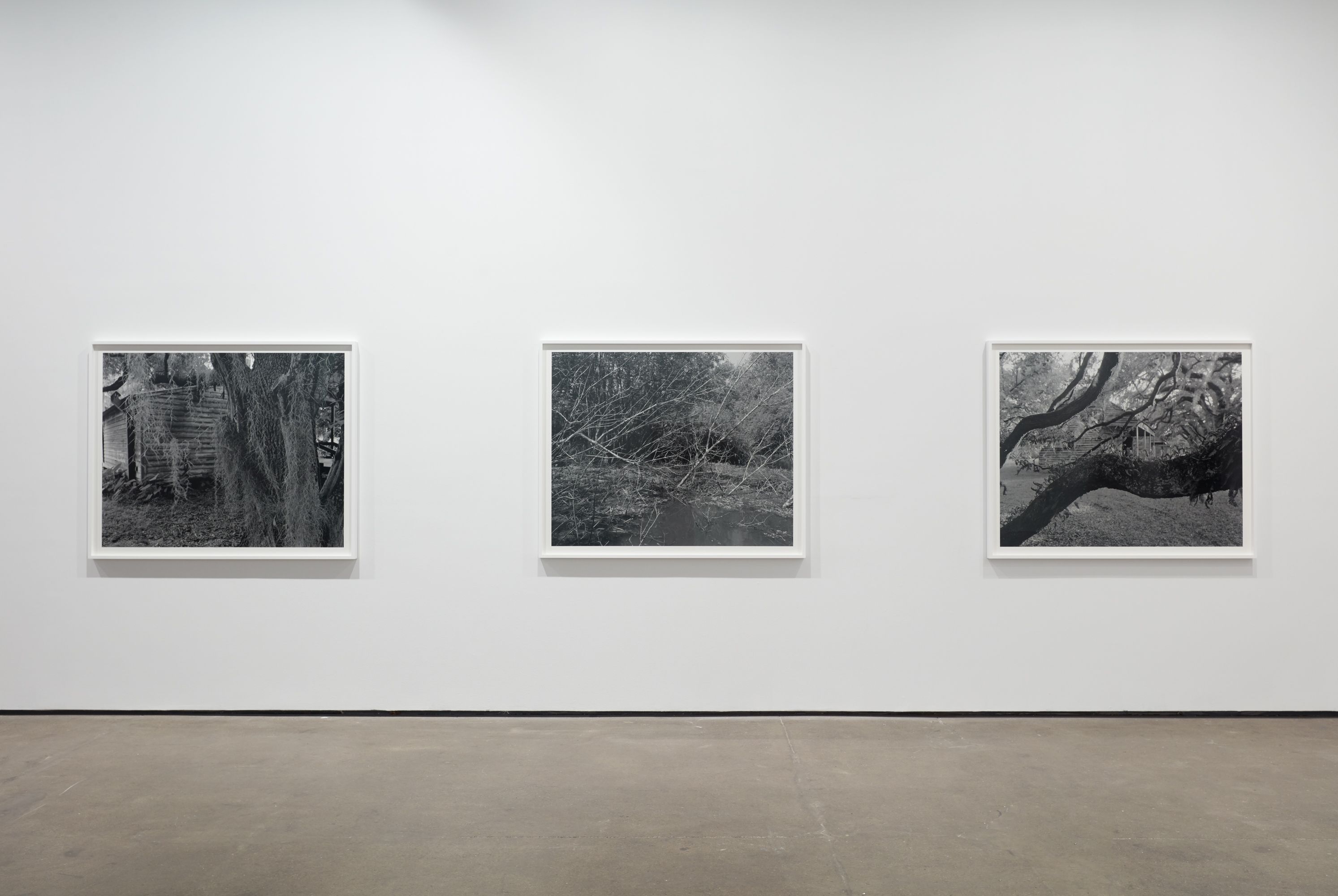 Installation view 10