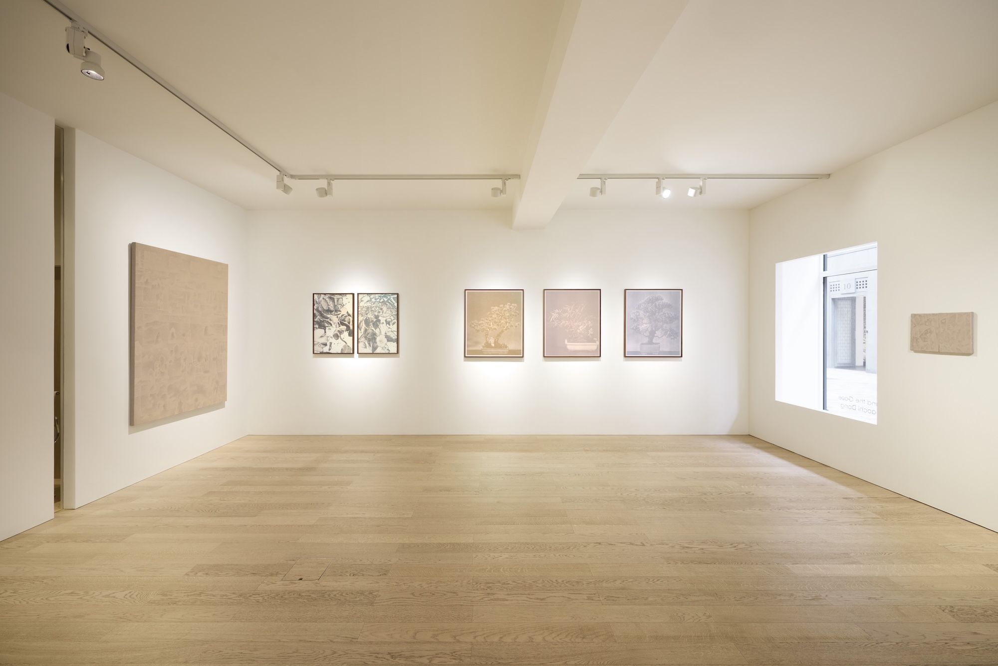 Xiaochi Dong & Feiyi Wen, The Garden and the Gaze at Albion Jeune, photo 11