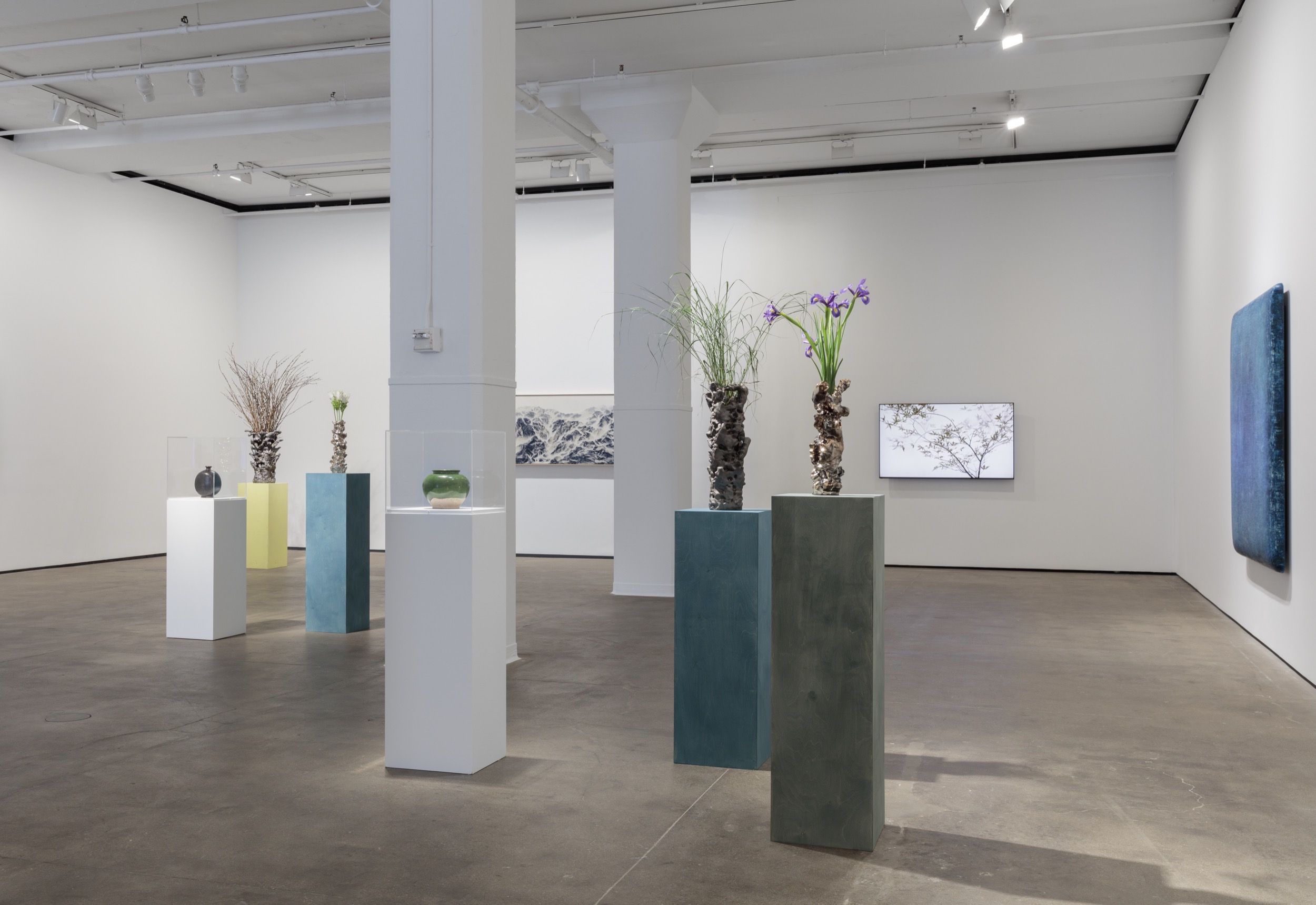 Installation view 12