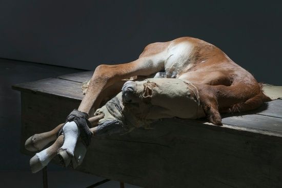 Berlinde De Bruyckere, No Life Lost at Hauser & Wirth, photo 7