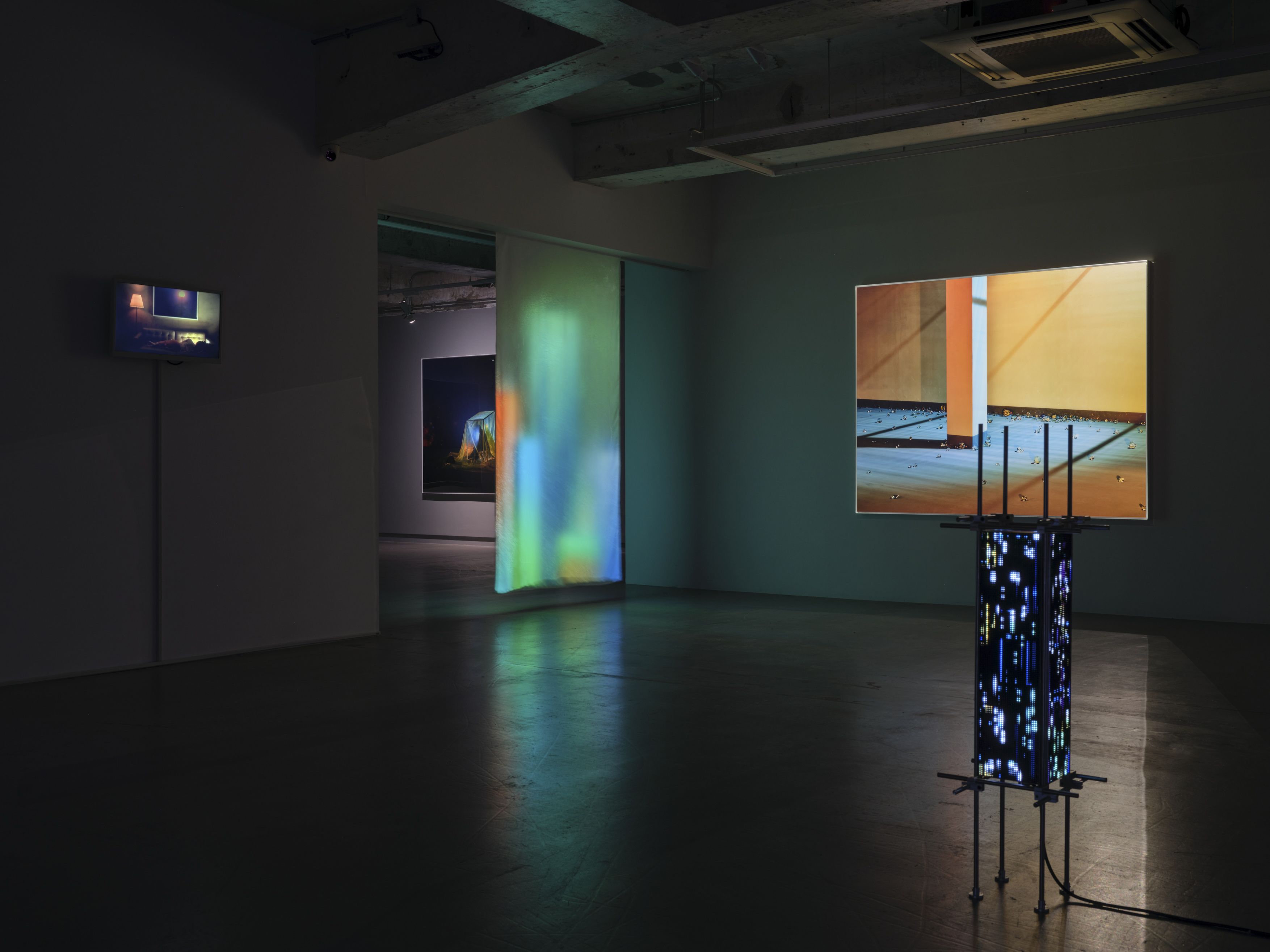 Chen Wei, Breath of Silence at Blindspot Gallery, photo 6