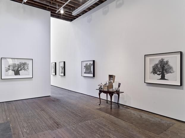Patrick Van Caeckenbergh, Patrick Van Caeckenbergh at Lehmann Maupin, photo 4