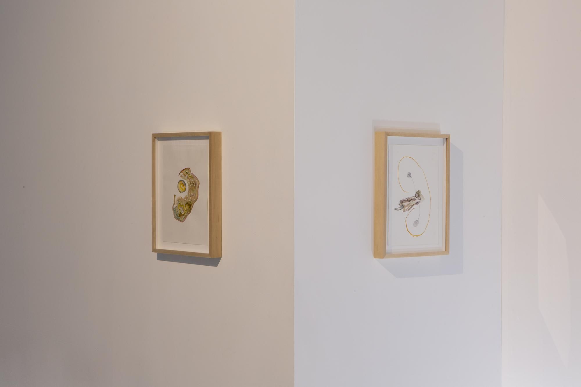 Vanessa Thill, Balsam at Deli Gallery, photo 4