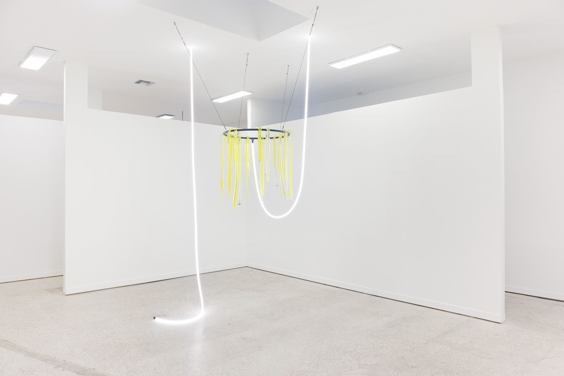 Felecia Chizuko Carlisle, Matter is a Verb at Emerson Dorsch, photo 4