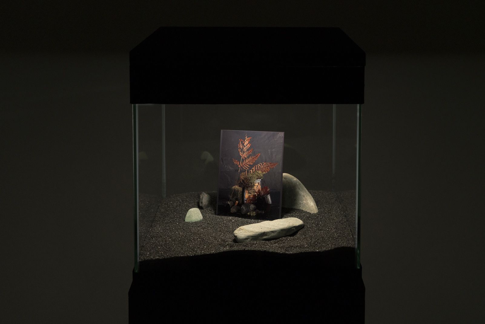Vanessa Holyoak & Antoine Chesnais, Souvenirs at LA Artcore, photo 8