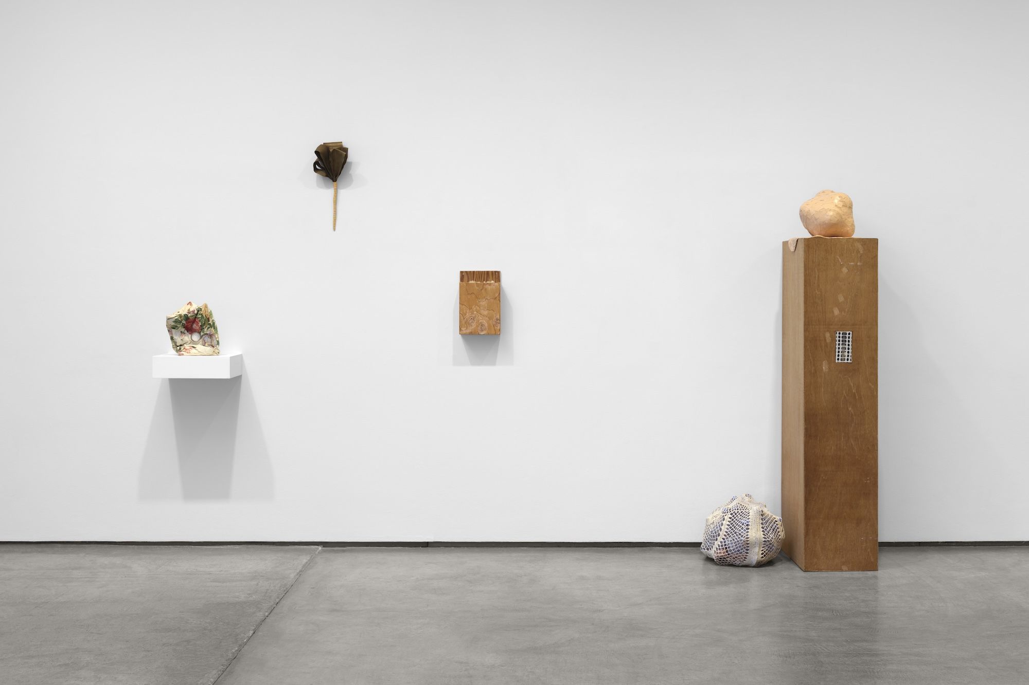 Veronica Ryan, Retrieval at Paula Cooper, photo 5