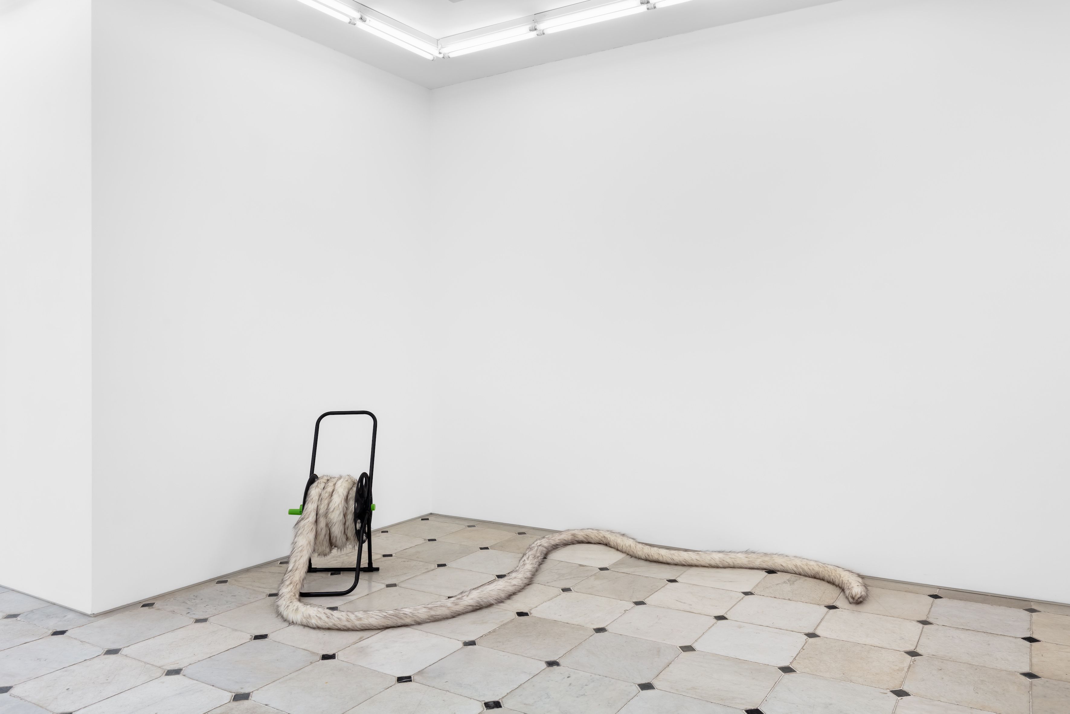 Nicole Wermers, image 5 of 8