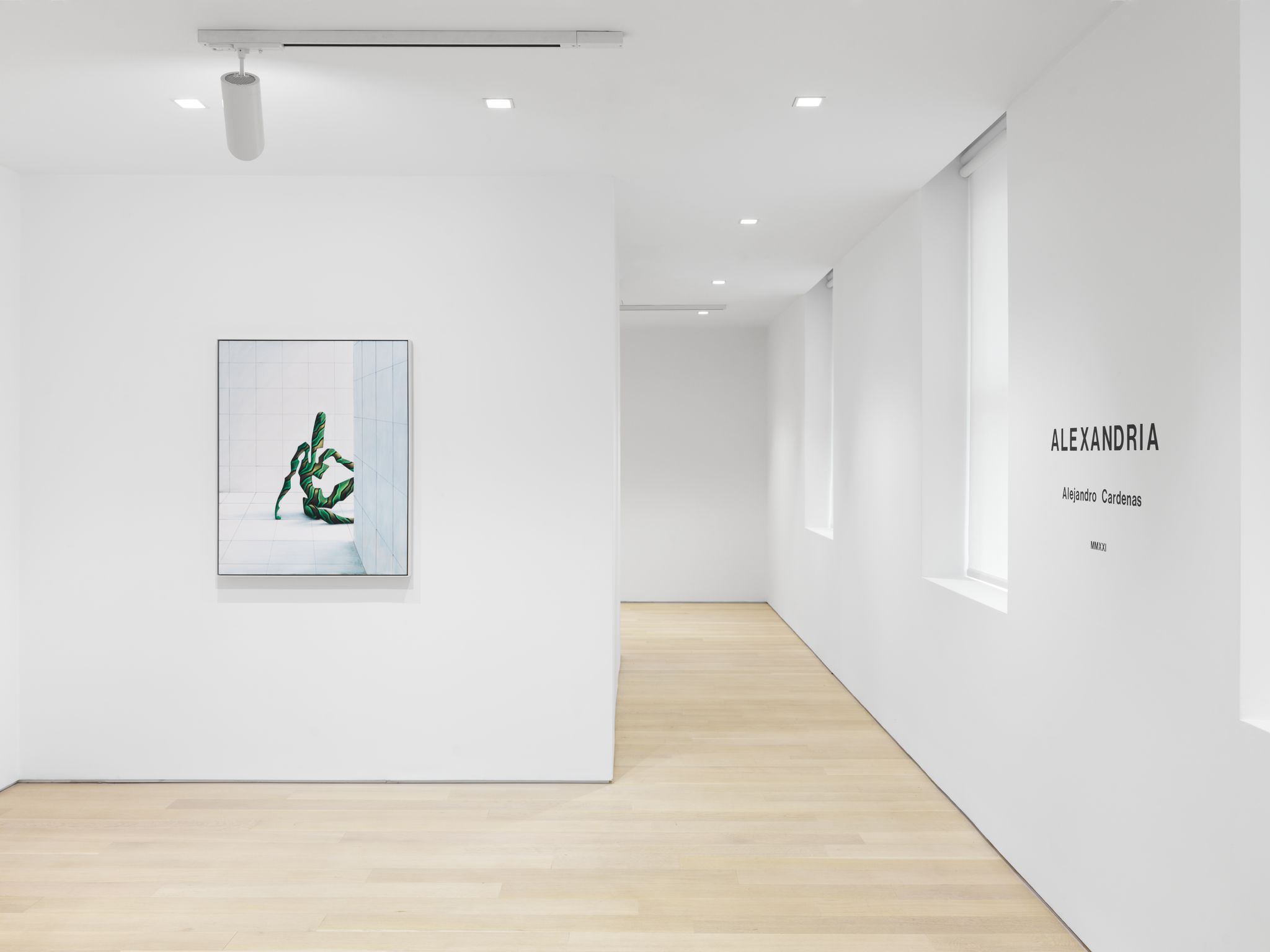 Alejandro Cardenas, Alexandria at Almine Rech, photo 2