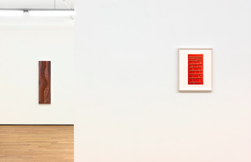 Sascha Braunig, Free Peel at Foxy Production, photo 4