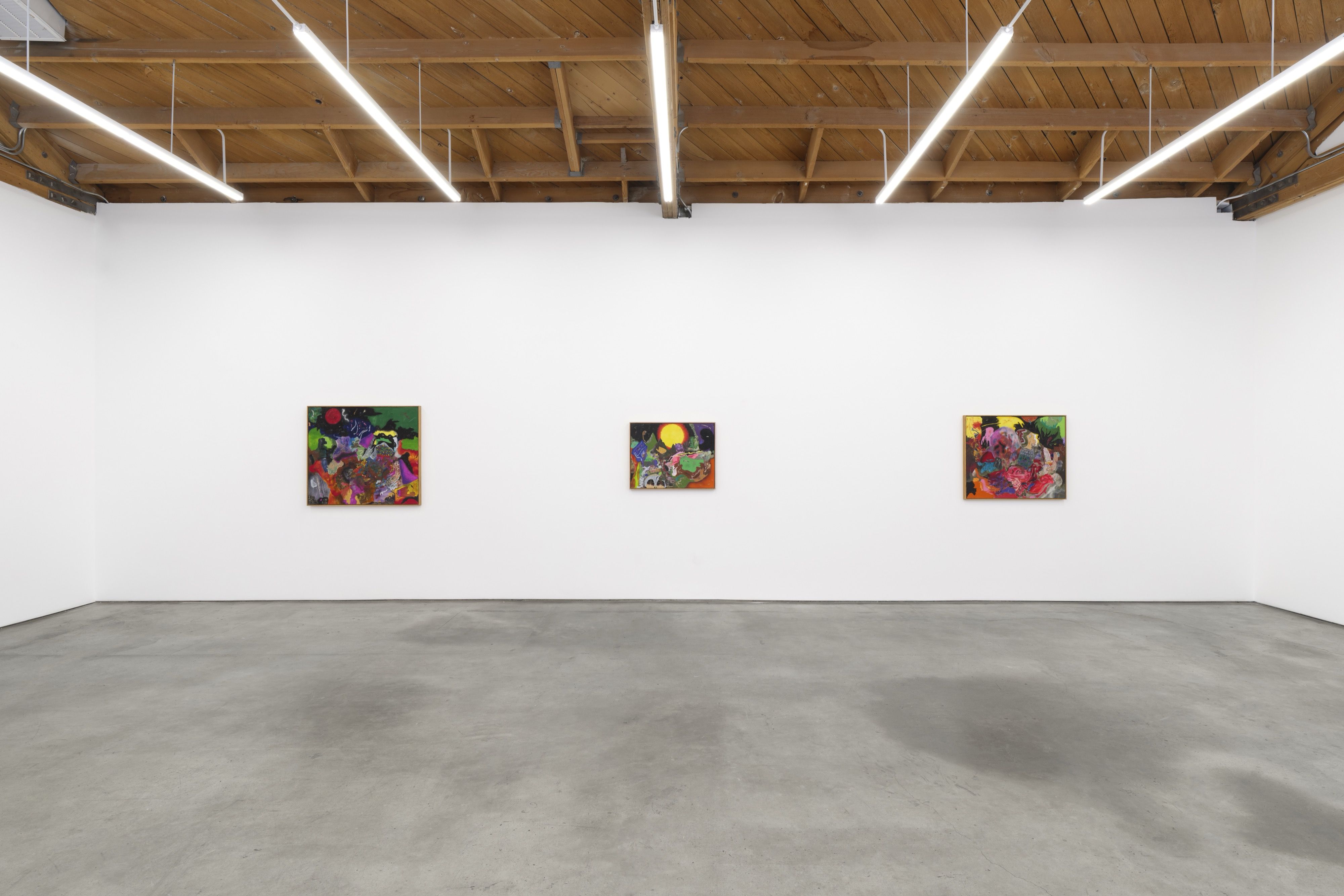 Michael Bauer, Propelled Into the Past and Oozing From His Glands at Megan Mulrooney, photo 13