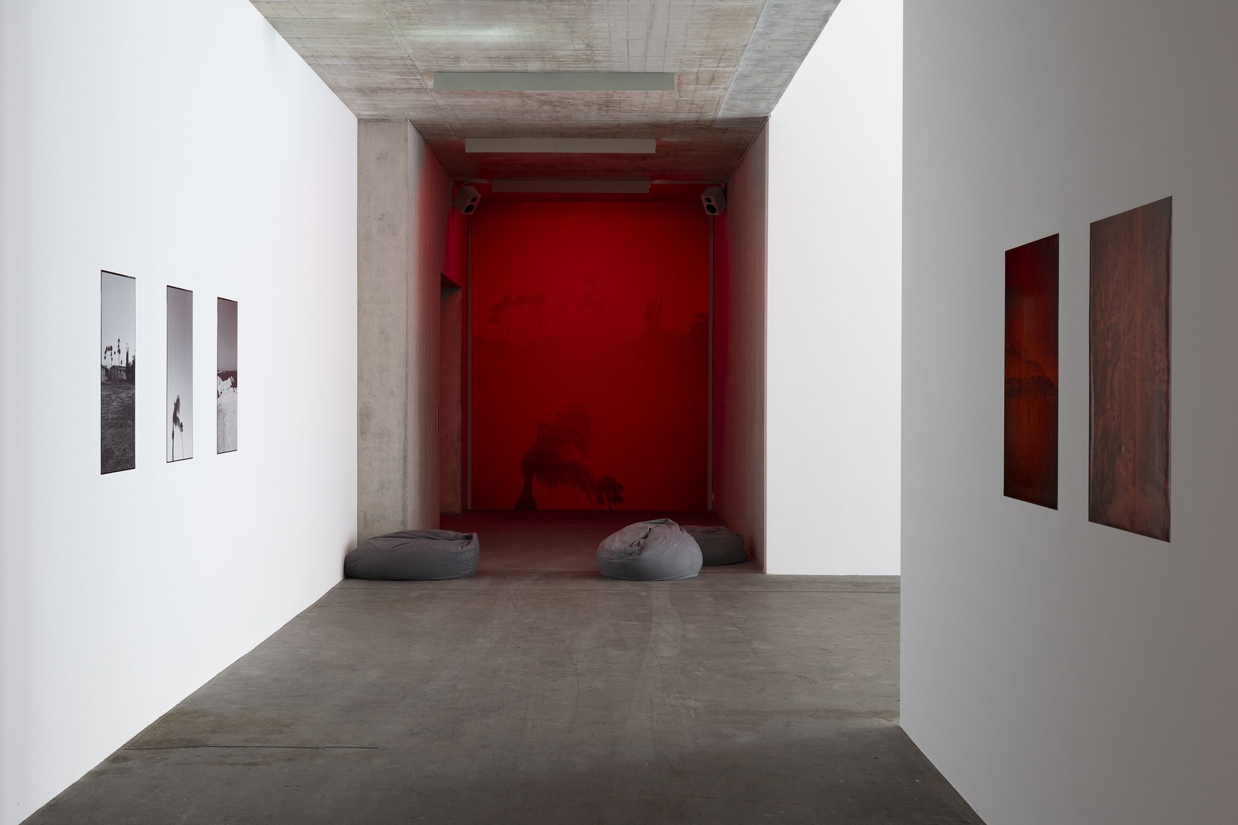 Whispers From Tides and Forests, Whispers From Tides and Forests at Kunsthaus Baselland, photo 4