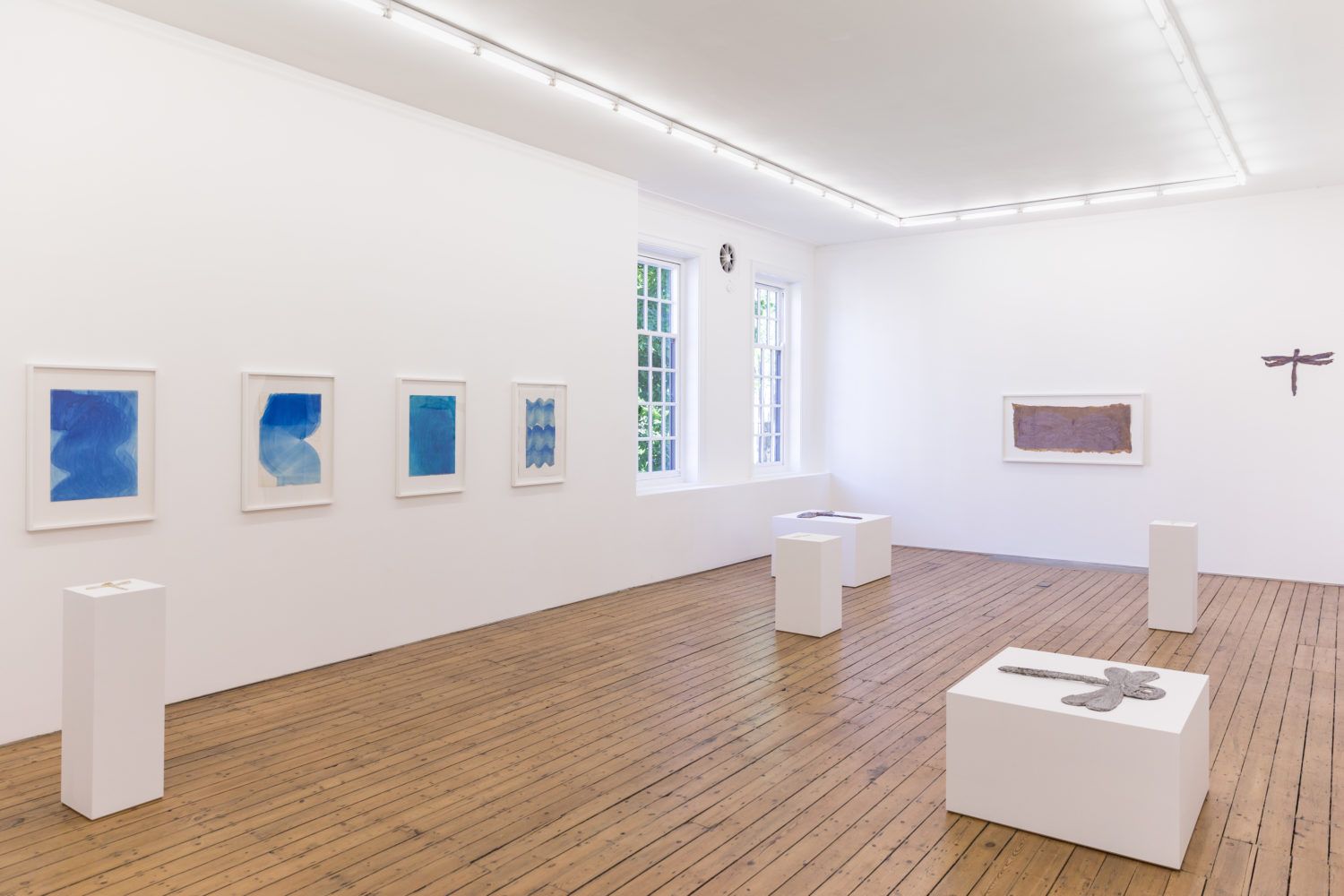 Heidi Bucher, Die Wässer und Libellenlust at The Approach, photo 6