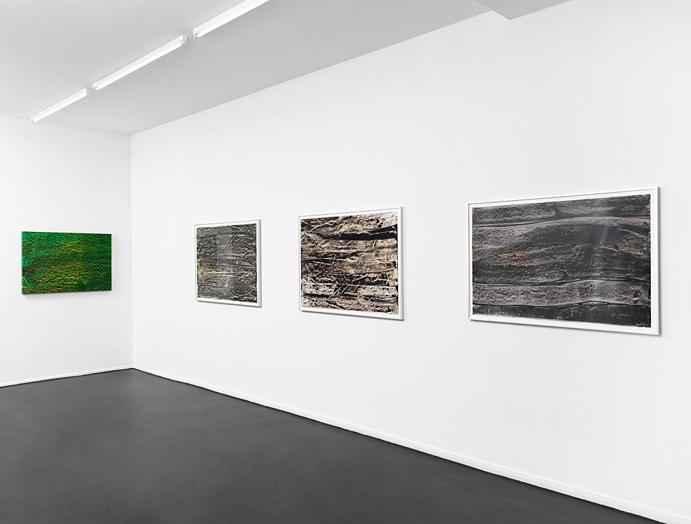 Isa Genzken, Basic Research at Buchholz, photo 12