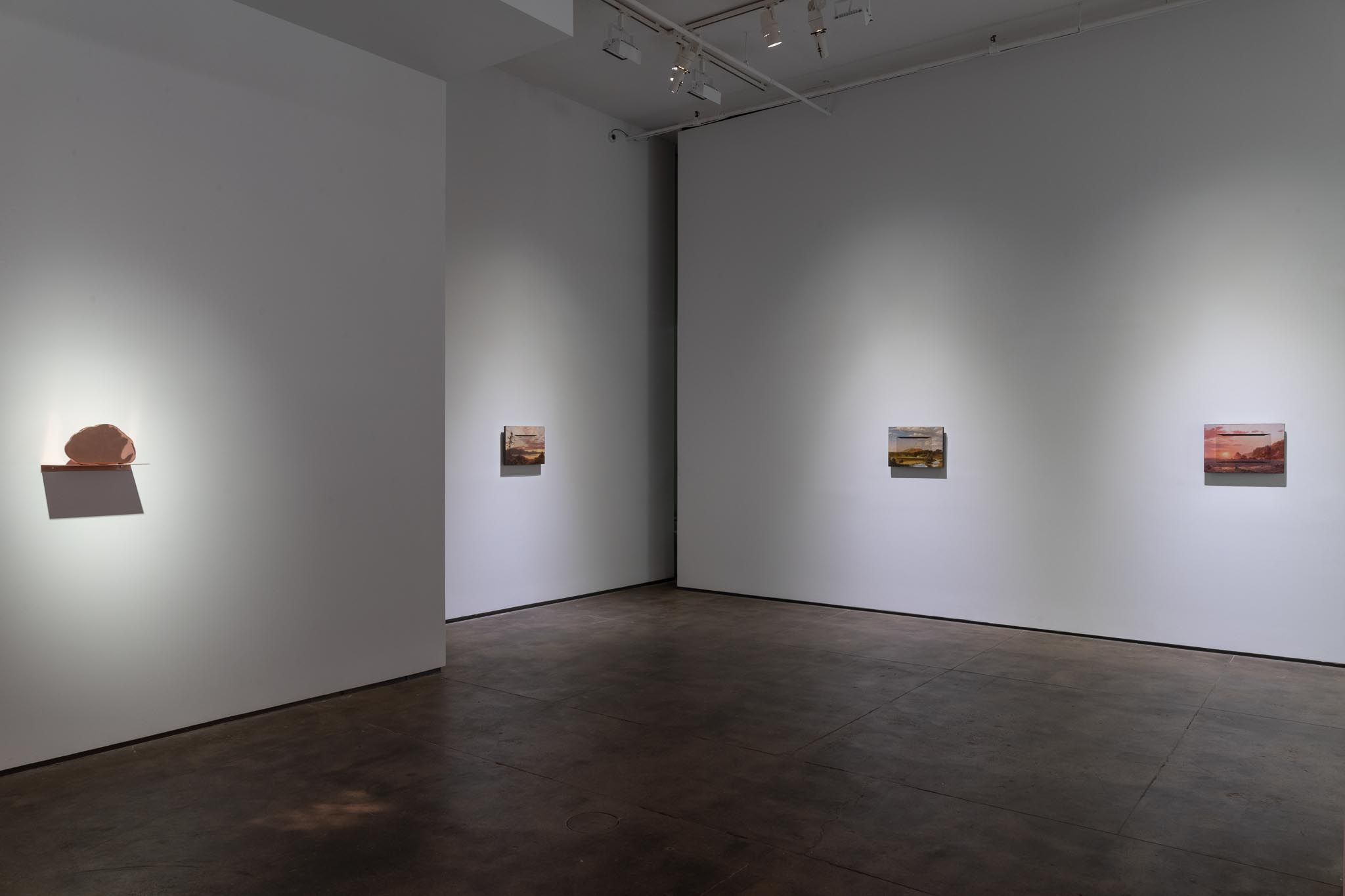 Laurent Grasso, Artificialis at Sean Kelly, photo 14