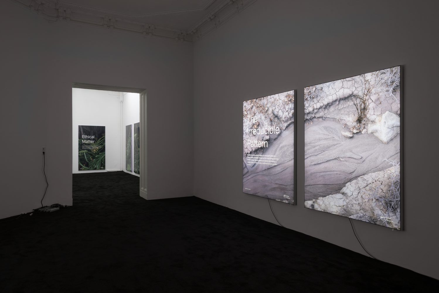 Timur Si-Qin, Campaign For A New Protocol, Part I at Société, photo 5