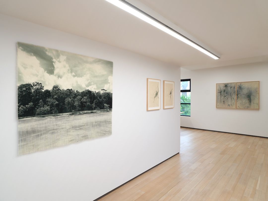 Ana González, Verdes at Sean Kelly, photo 7