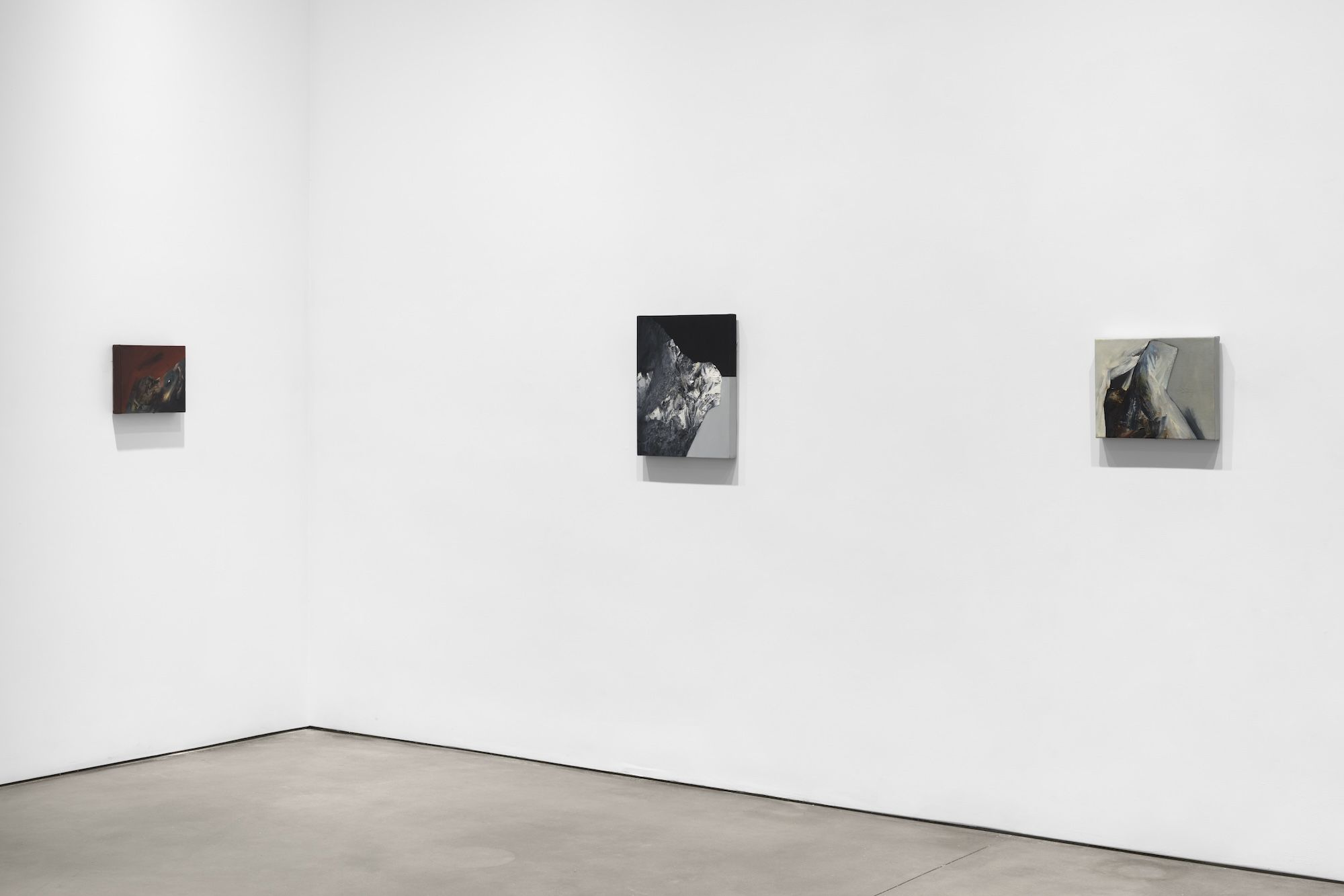 Jay DeFeo, Garnets on the Boulder: Paintings of the 1980s at Paula Cooper, photo 9