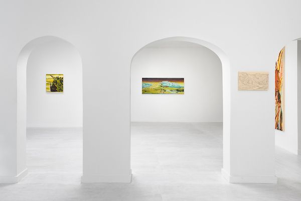 Nicole Irene Anderson, A Tangled Coexistence at Johansson Projects, photo 2