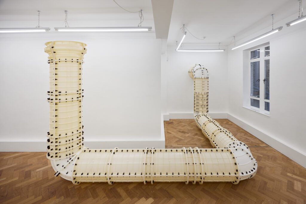 Jan Vorisek, Elbows at Arcadia Missa, photo 3