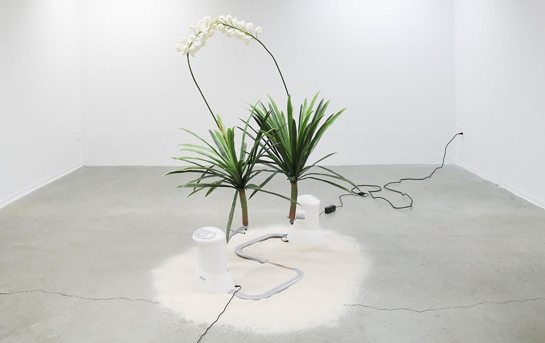 Rachel Youn, Well Adjusted at Night Gallery, photo 2