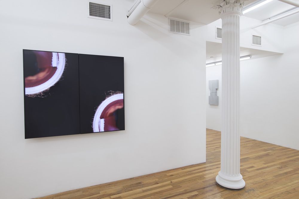 David J. Merritt, Flesh of My Flesh at Kansas Gallery, photo 3