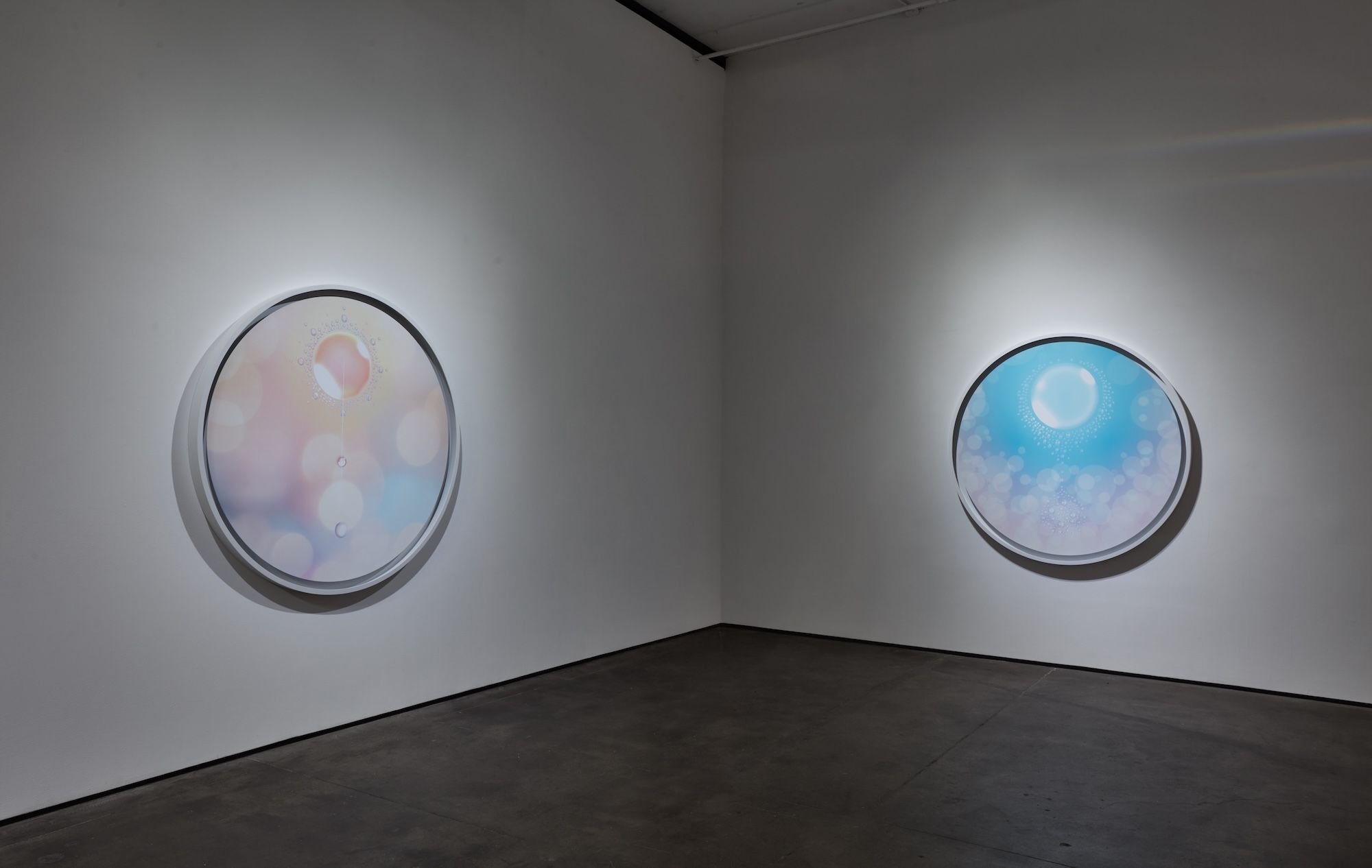 Installation view 4