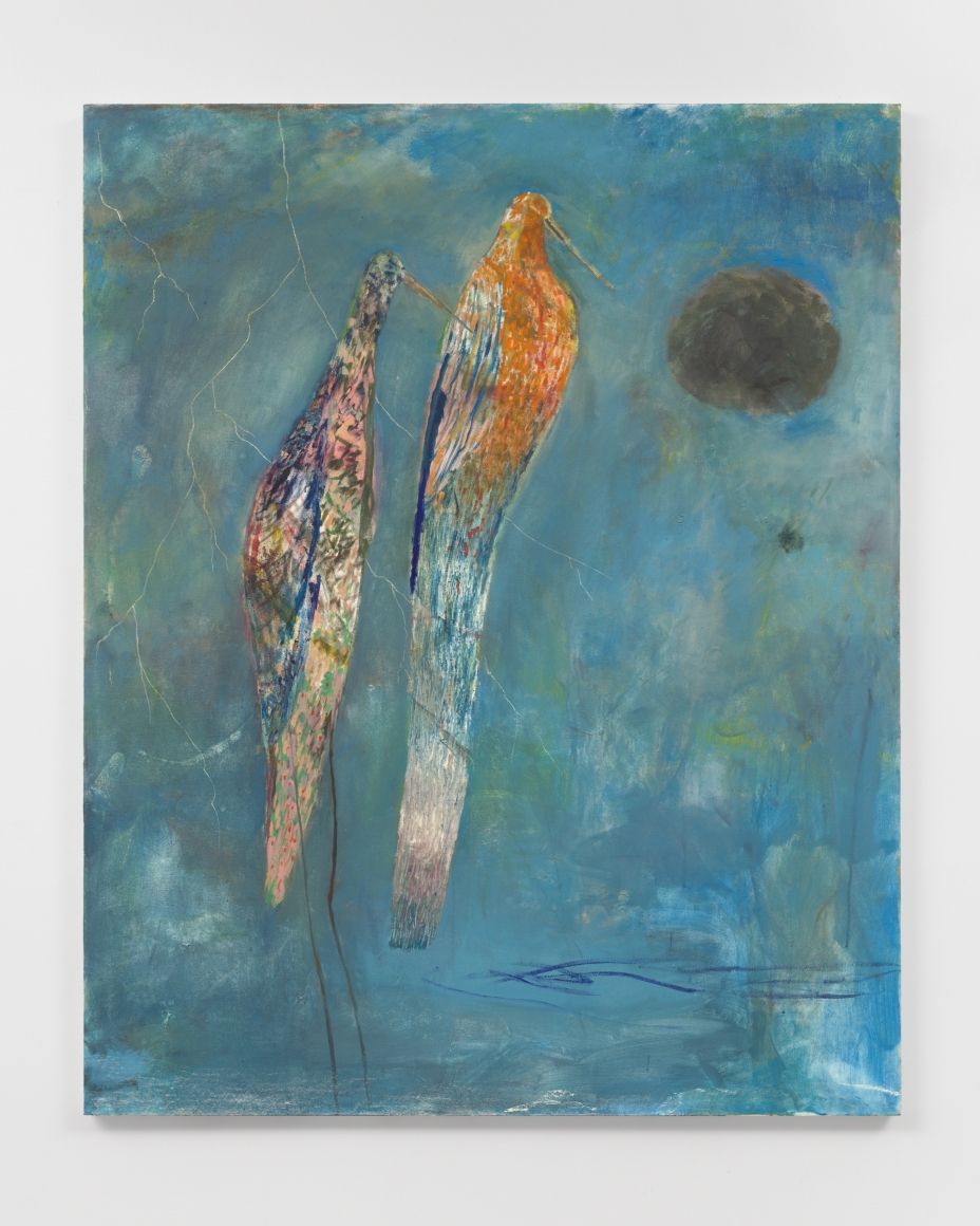 Volker Hüller, Birds at Van Doren Waxter, photo 2
