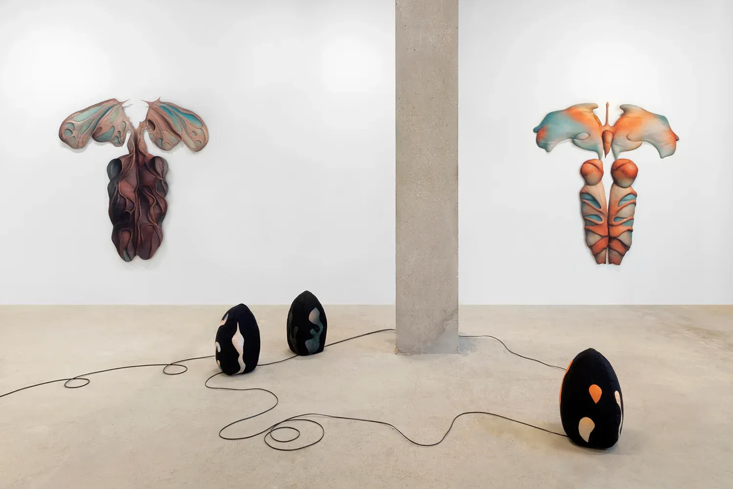 Caroline Delieutraz, Bleen at 22,48 m², photo 5