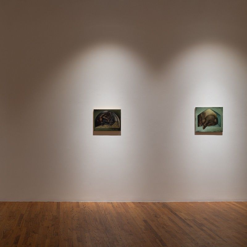 Lewis Hammond, The Rabbits at 47 Canal, photo 3