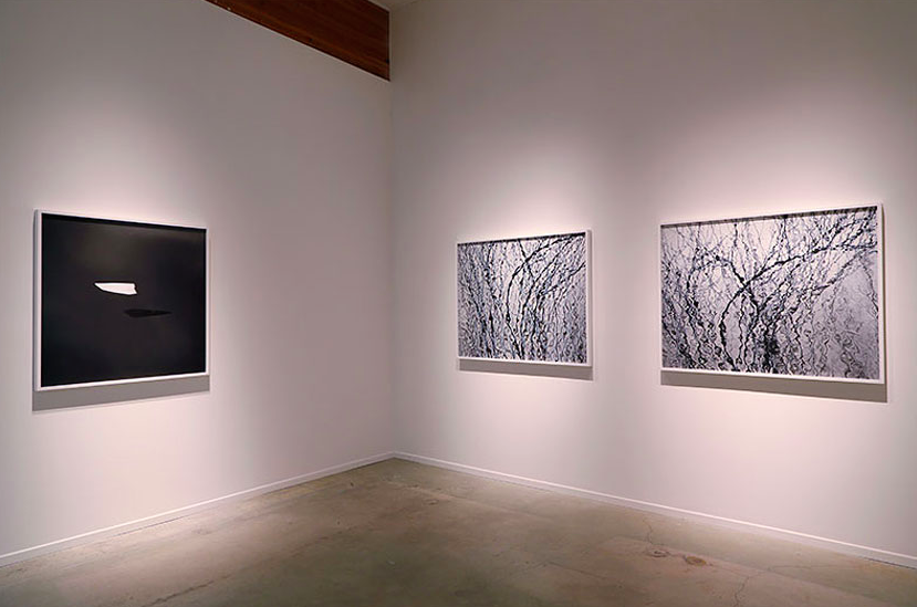 Carolyn Marks Blackwood, image 5 of 6