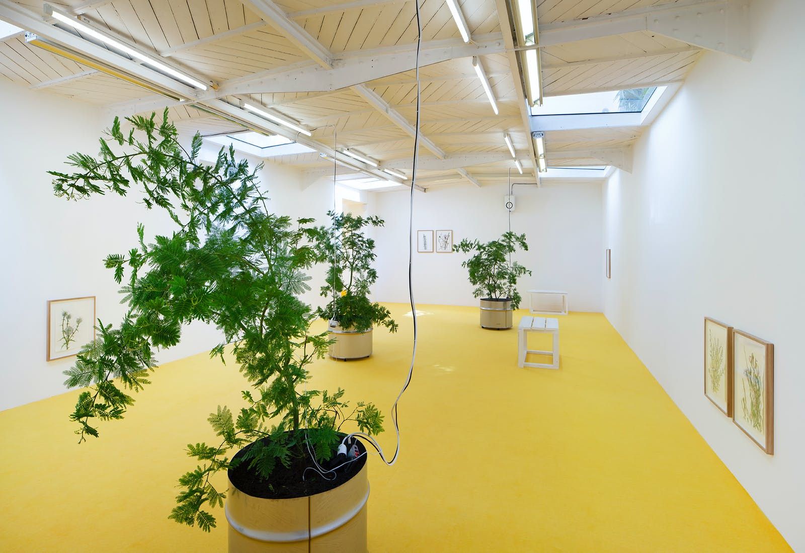 Mohamed Bourouissa, Brutal Family Roots at Mennour, photo 5
