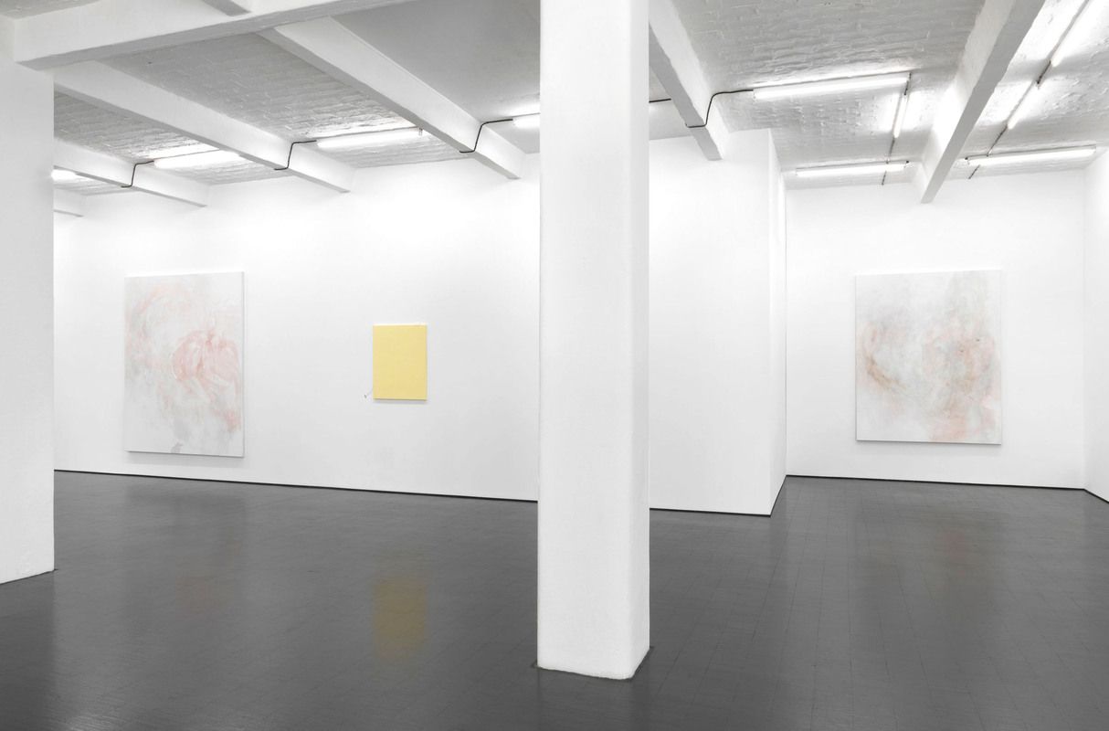 Monika Baer, Die Einholung at Barbara Weiss, photo 2