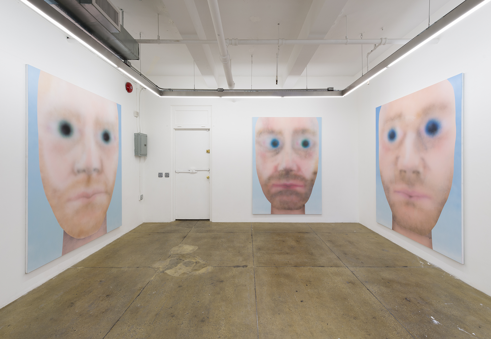 Julien Meert, Colossal Youth at Balice Hertling, photo 3