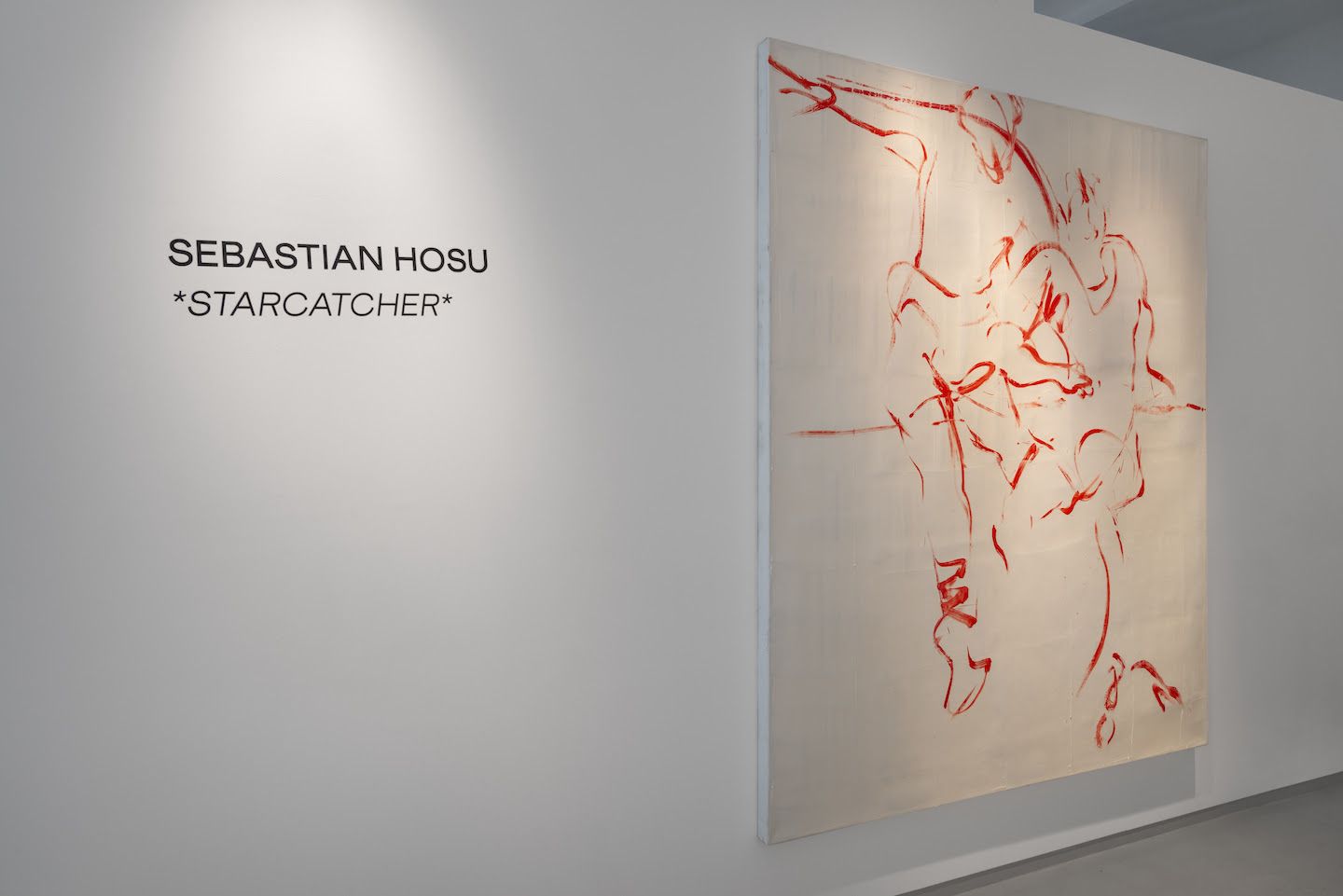 Sebastian Hosu, Starcatcher at Duve, photo 9