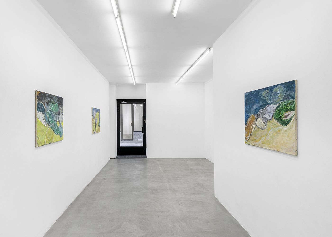 Waldemar Zimbelmann, Veins in the Leaf at Bremond Capela, photo 3