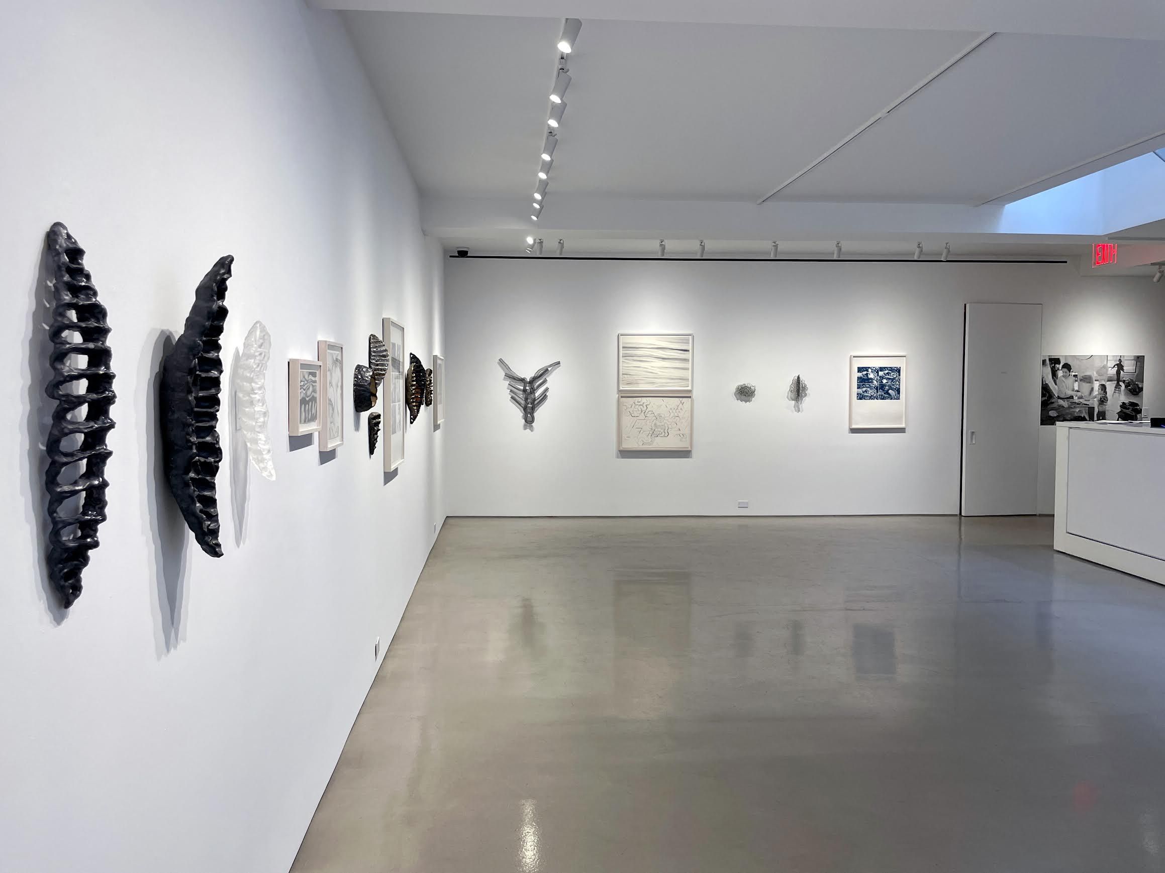 Eve Biddle & Mary Ann Unger, Generation at Davidson Gallery, photo 4