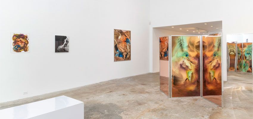 Camille Hannah, The Sixteen Pleasures at Olsen Gruin, photo 3