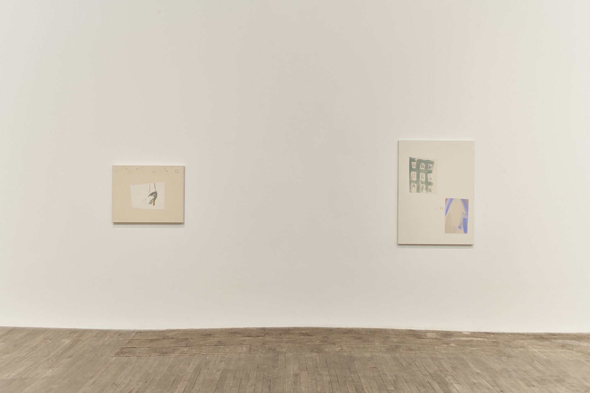 Sofia Silva, Spoiled by Freud at Andrew Kreps, photo 3