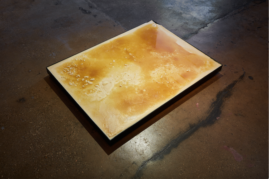 Allana Clarke, Relative Semblance at The Women's Darkroom + Gallery, photo 2