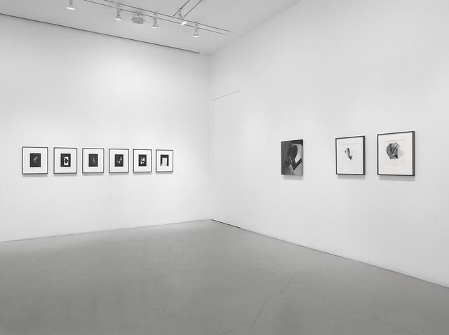 Jay DeFeo, Jay DeFeo at Mitchell-Innes & Nash, photo 7