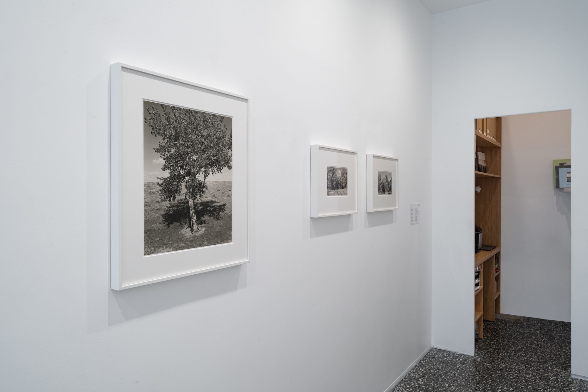 Robert Adams, image 7 of 7