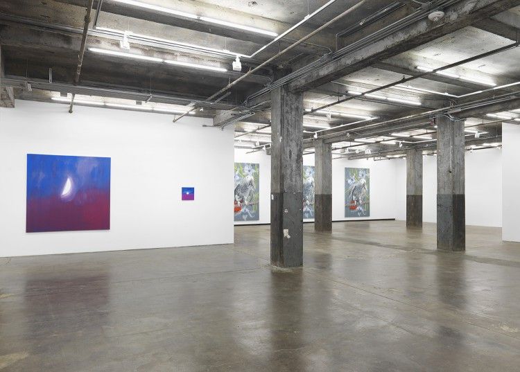 Ann Craven, Hello, Hello, Hello at Maccarone, photo 4