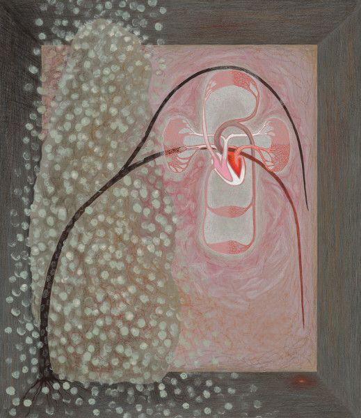 Marcy Hermansader, image 2 of 7