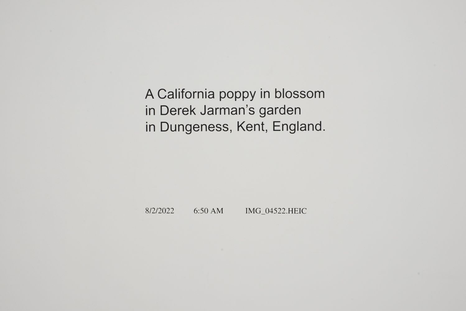 David Horvitz, Avenues All Lined With Trees at Jean-Kenta Gauthier | Vaugirard, photo 8