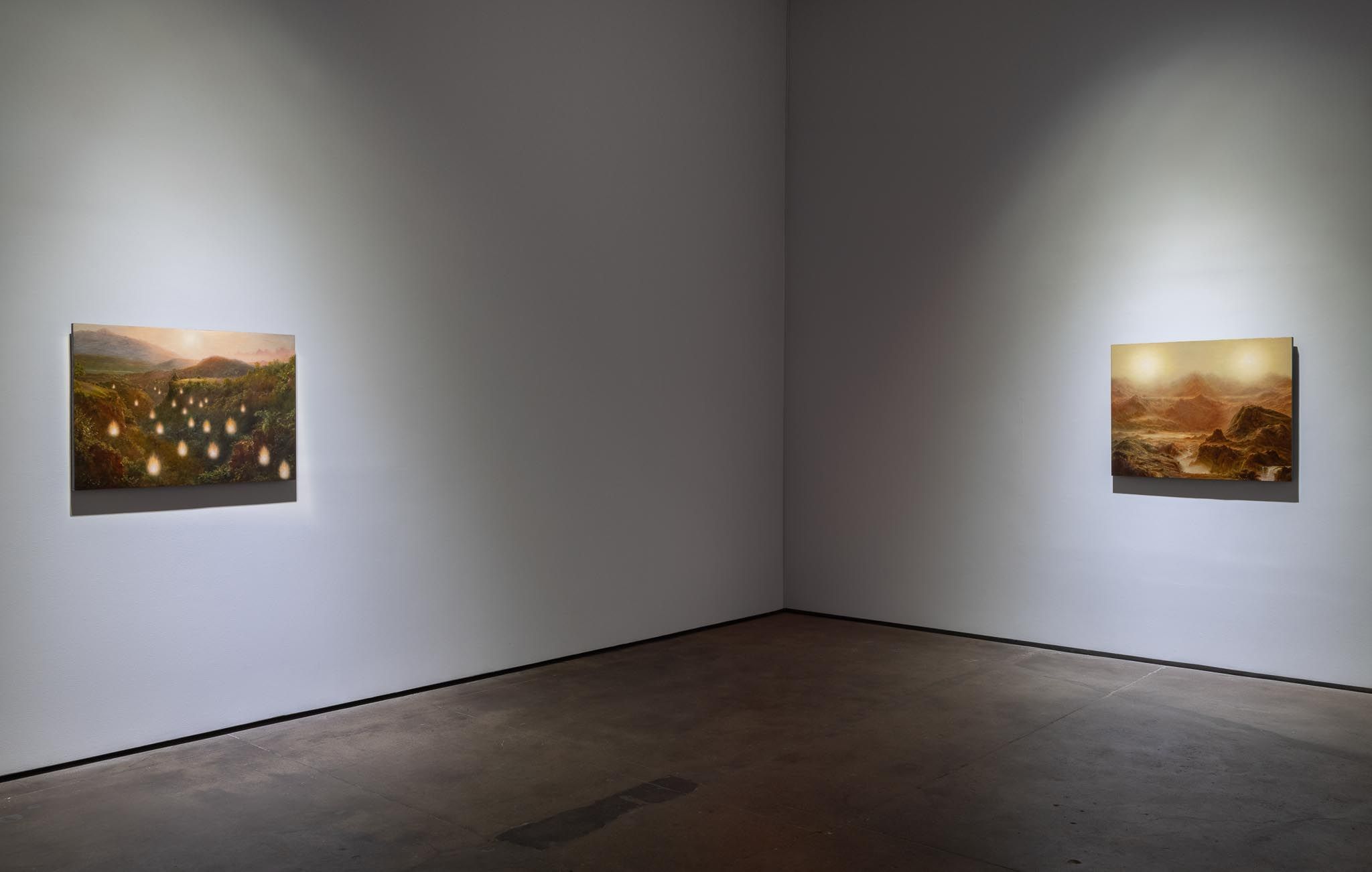 Installation view 5